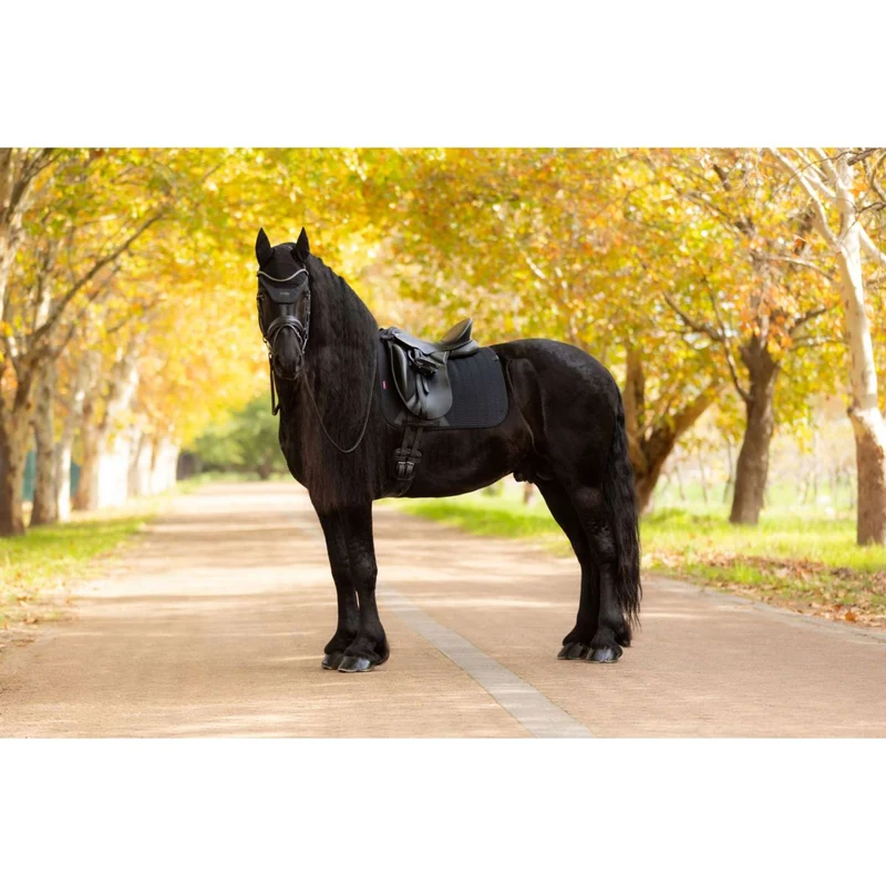 LeMieux Tapis de Selle Essence Dressage Noir