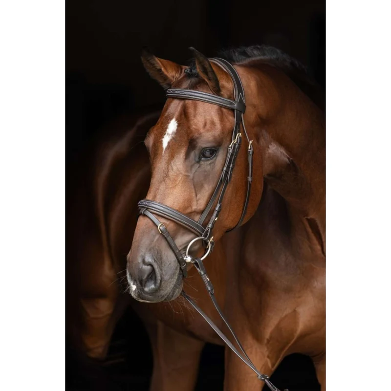 Kerbl Bridon classique en cuir Marron classique