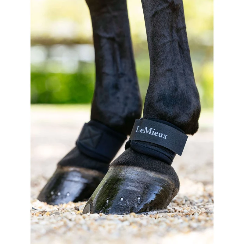 LeMieux Protège-Paturon Neoprene Noir