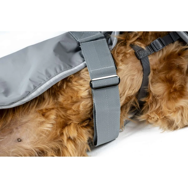 Horseware Couverture pour Chien Newmarket Witney Charcoal