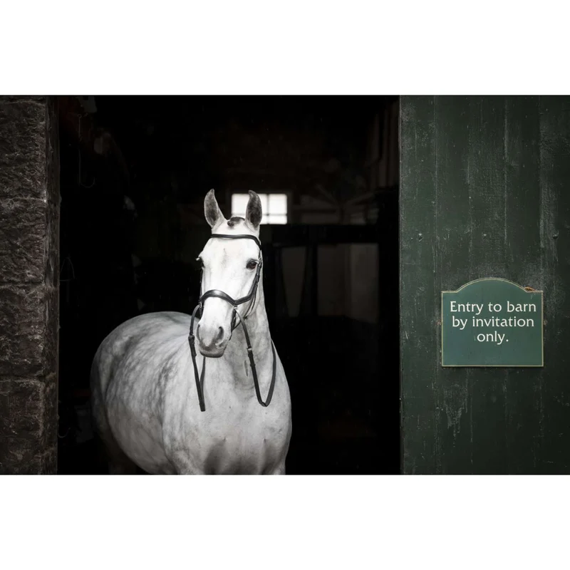 Horseware Micklem Bitless Bridle Noir