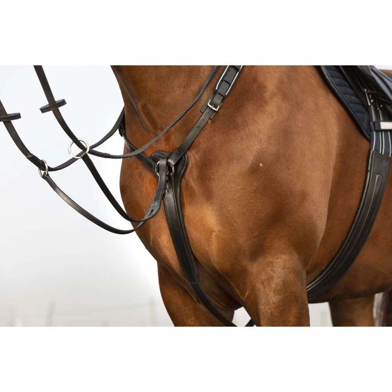 Horseware Micklem Collier de Chasse avec Martingale Noir