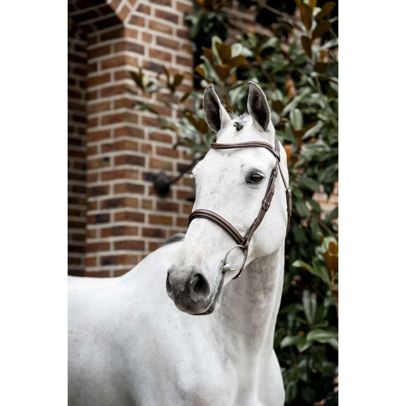 Horseware Bride Cavesson Marron