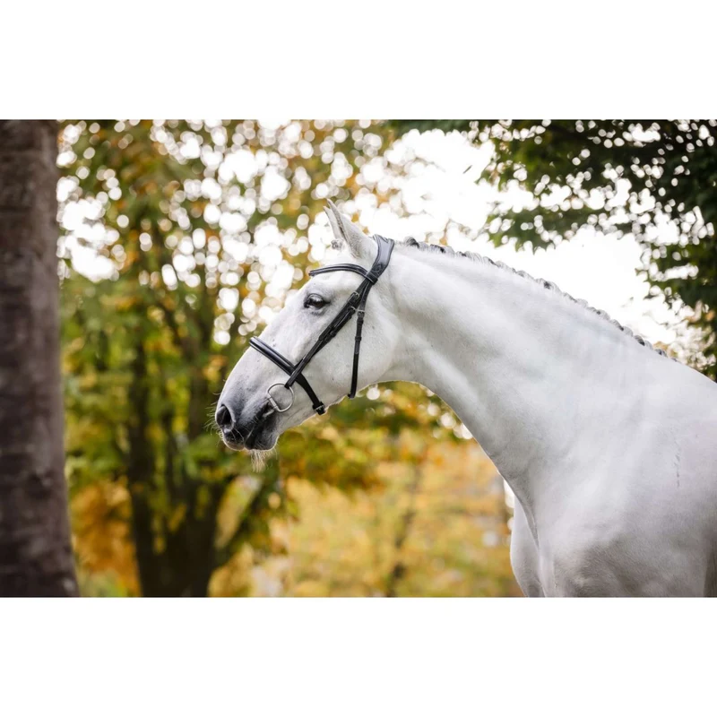 Horseware Bride Cavesson Noir