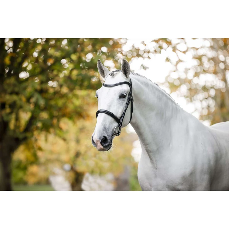 Horseware Bride Cavesson Noir