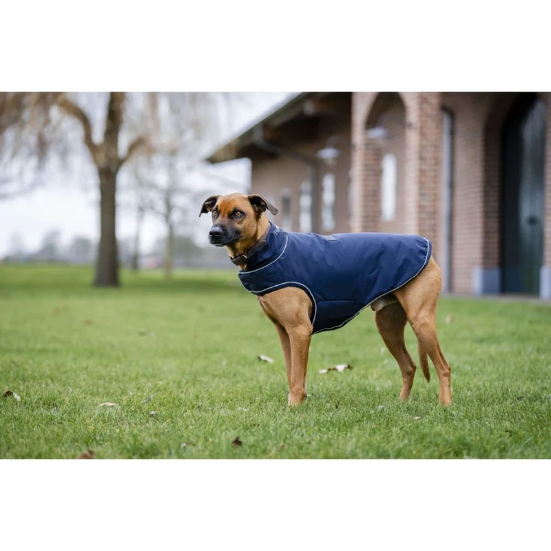 Horseware Couverture de Pluie pour Chien Signature 100g Marin