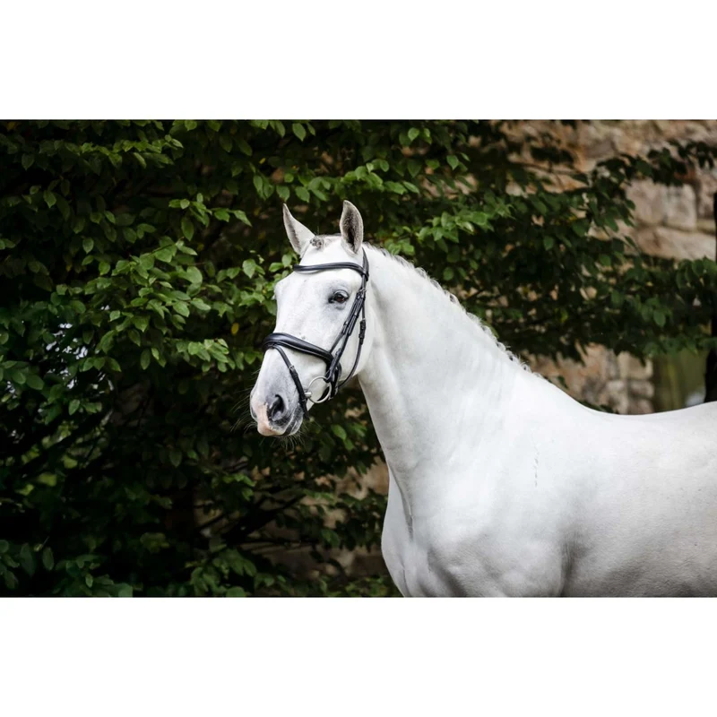 Horseware Bride Pony Flash Noir
