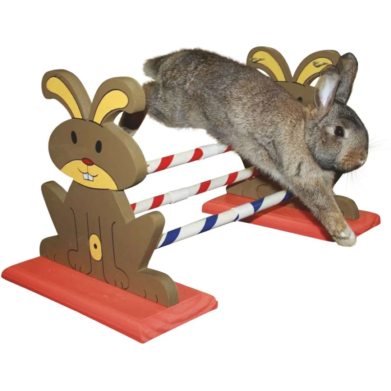 Kerbl Obstacle pour rongeur Agility