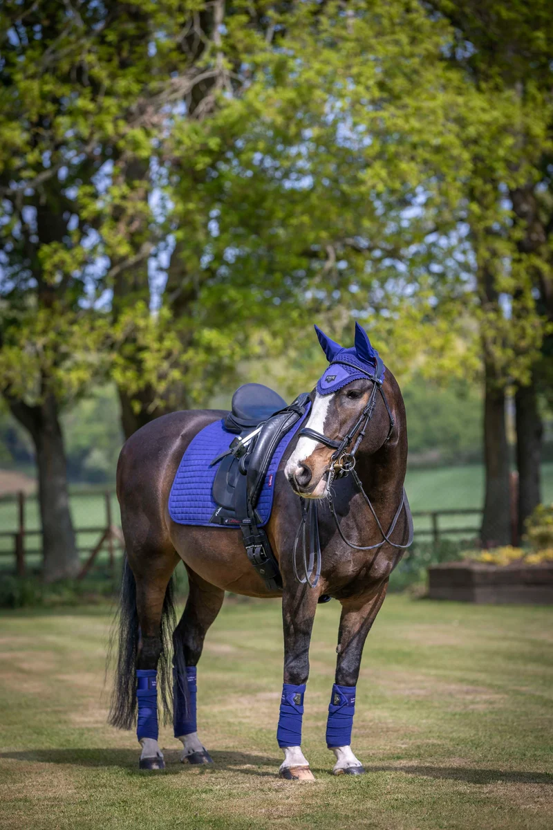 LeMieux Benetton Blue