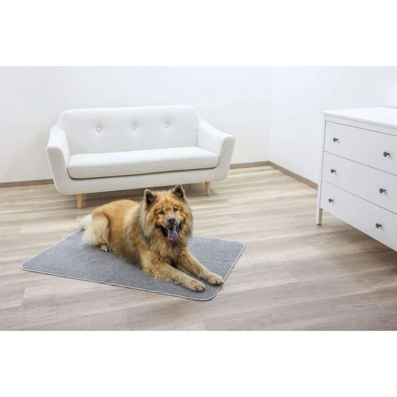 Kerbl Coussin Cleo Gris