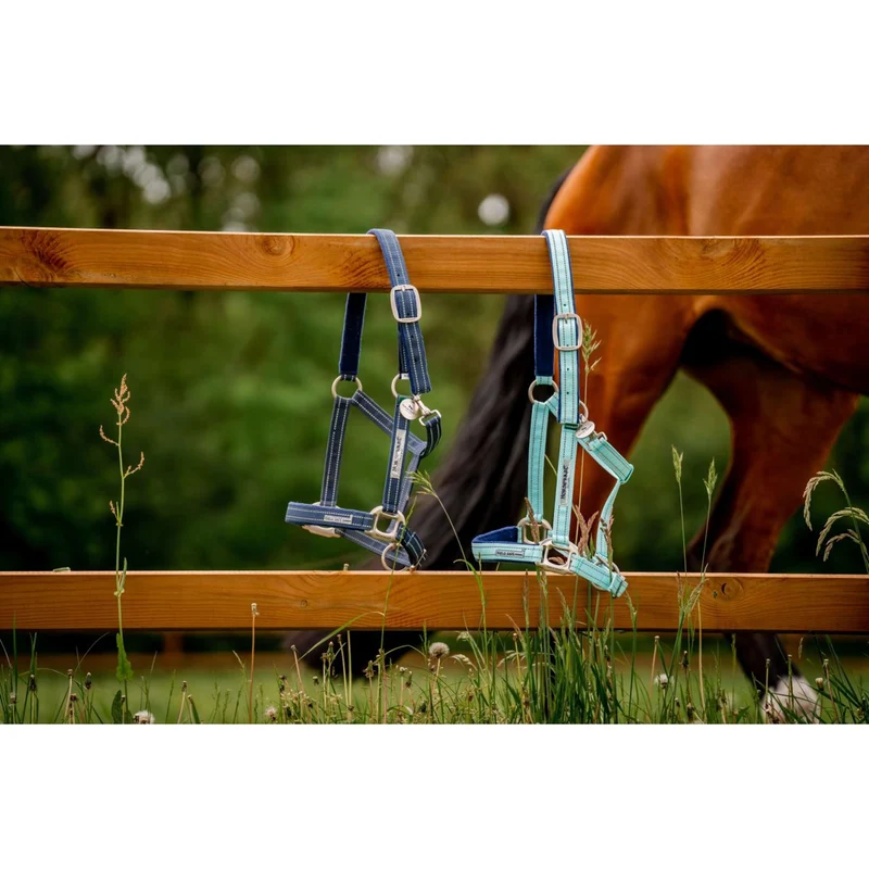 Horseware Licol Field Safe Blue Haze