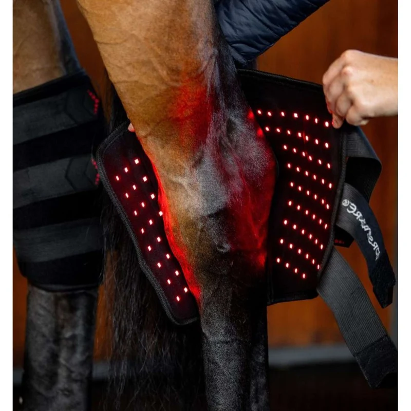 Horseware LED Red Light Therapy Right Hock Boot Noir