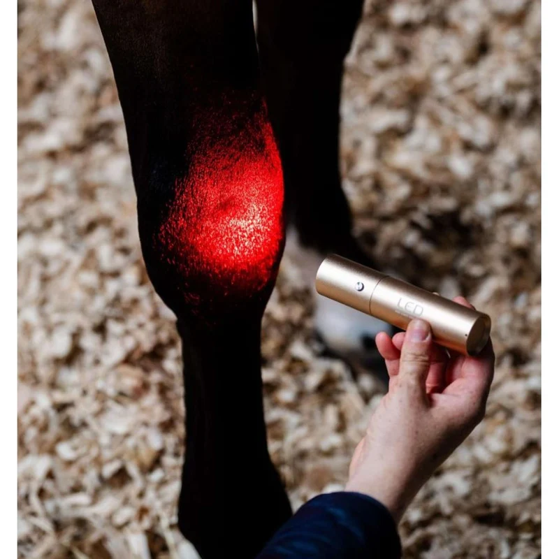 Horseware LED Red Light Therapy le bâton Noir