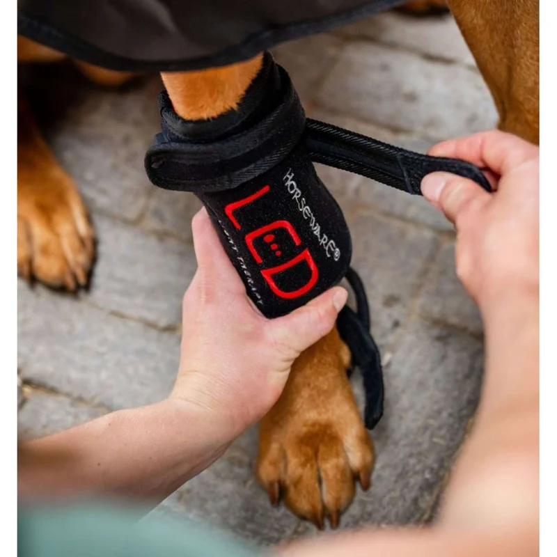 Horseware LED Red Light Therapy Pet Leg Wrap Noir