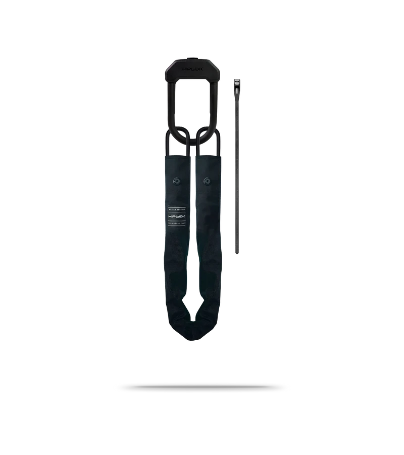 E-DX Cargo Lock Sold Secure Gold