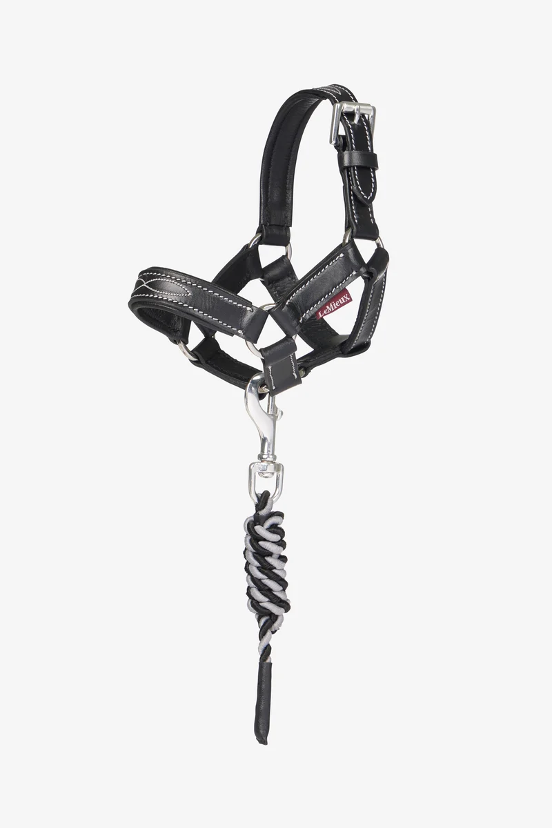 Toy Pony licol en cuir Black Taille unique