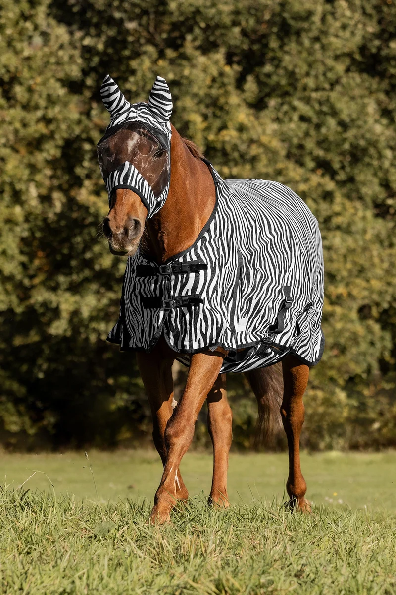 Zebra couverture anti-mouches avec sangles droites Black/White 75