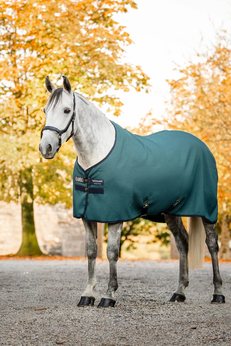 Rambo Techni Waffle chemise séchante Dynasty Green/Navy/Silver 155
