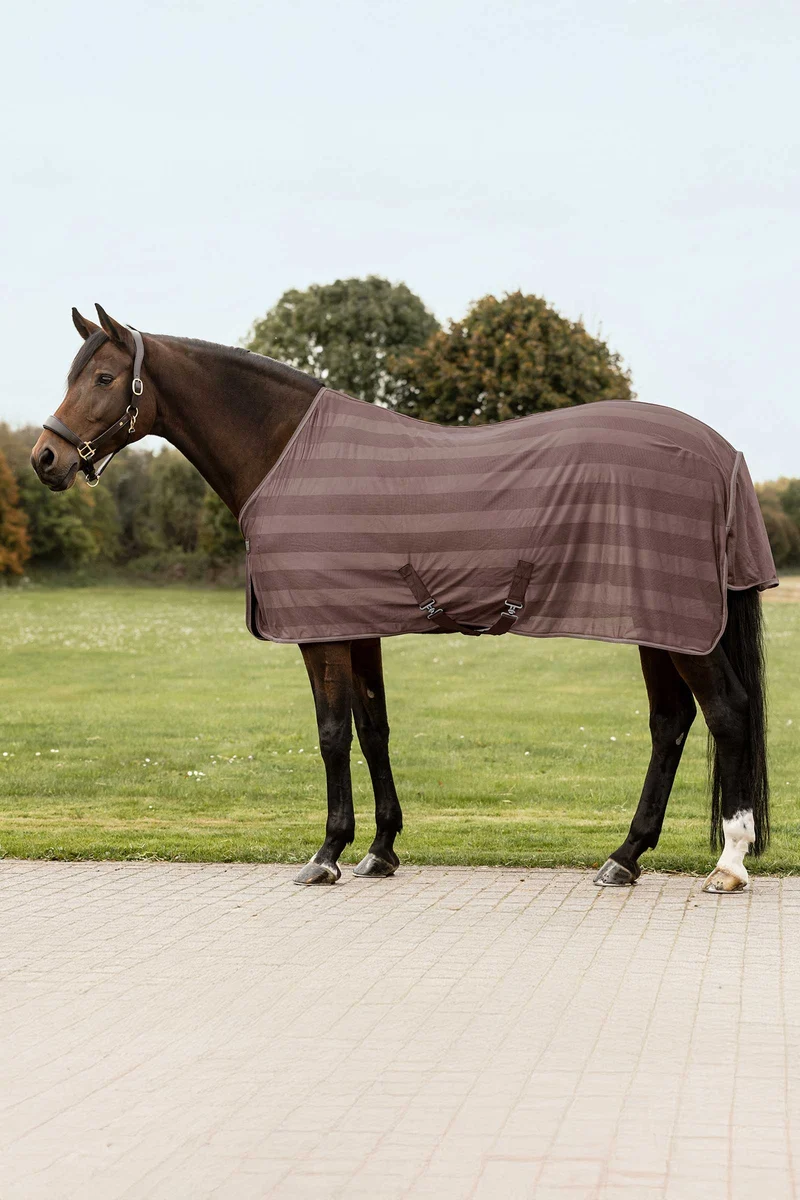 Economic couverture anti-mouches Mocca 155