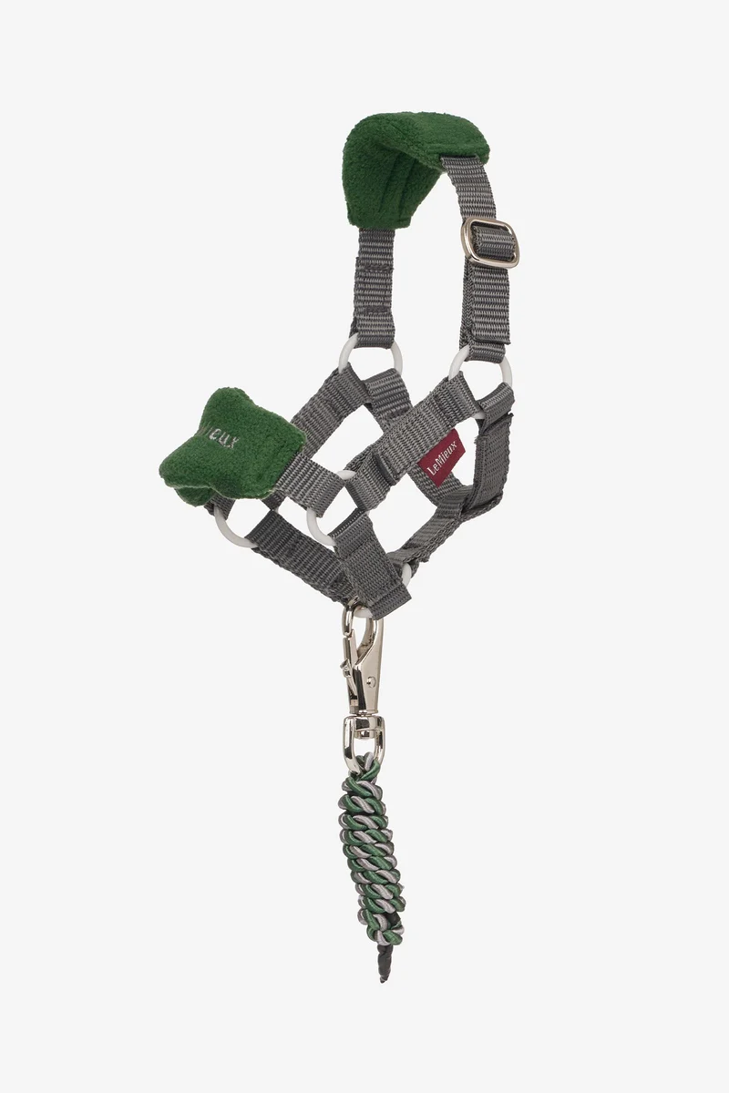 Vogue licol et longe pour poney jouet Hunter Green Taille unique