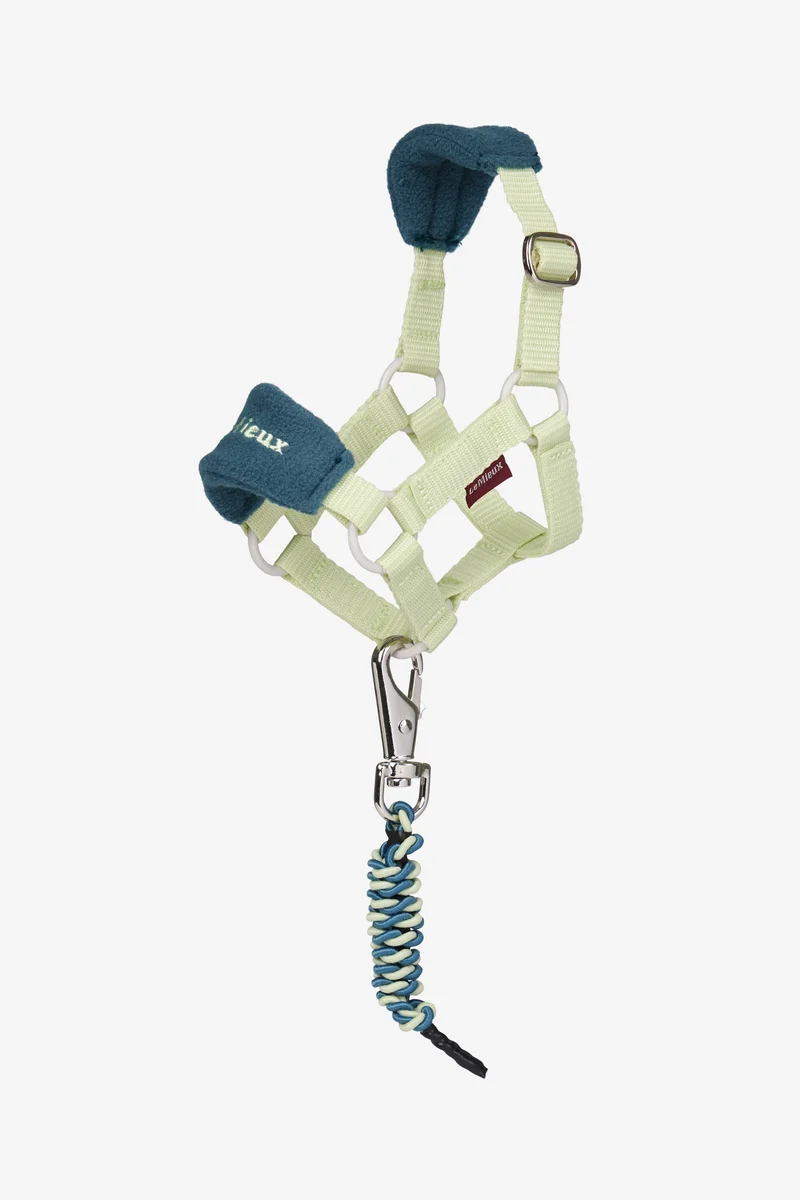 Vogue licol et longe pour poney jouet Macaron Taille unique
