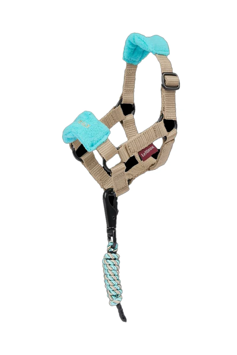 Vogue licol et longe pour poney jouet Azure Taille unique