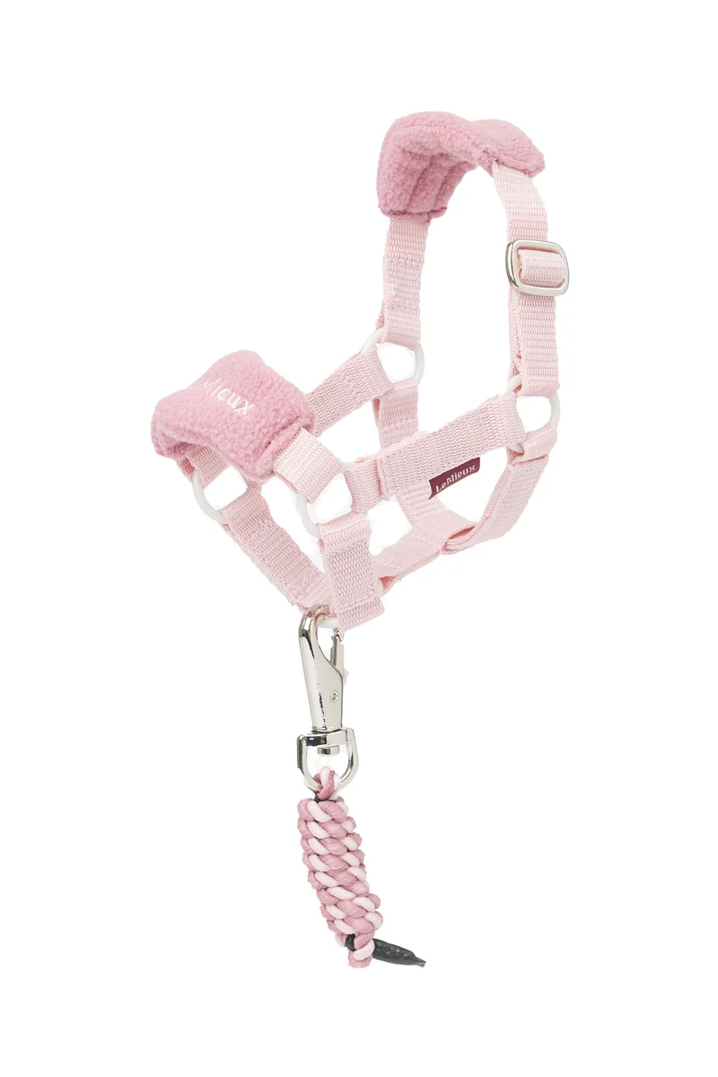 Vogue licol et longe pour poney jouet Blossom Taille unique