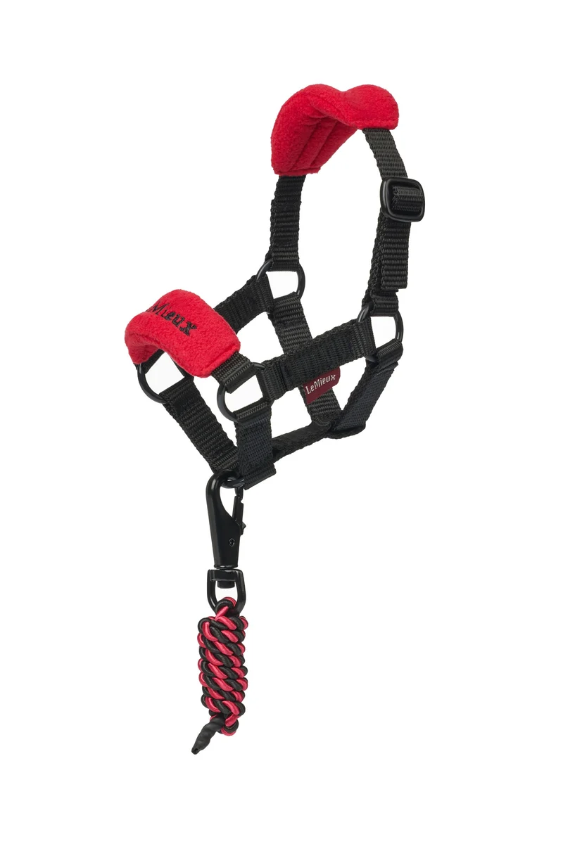 Vogue licol et longe pour poney jouet Chilli Taille unique