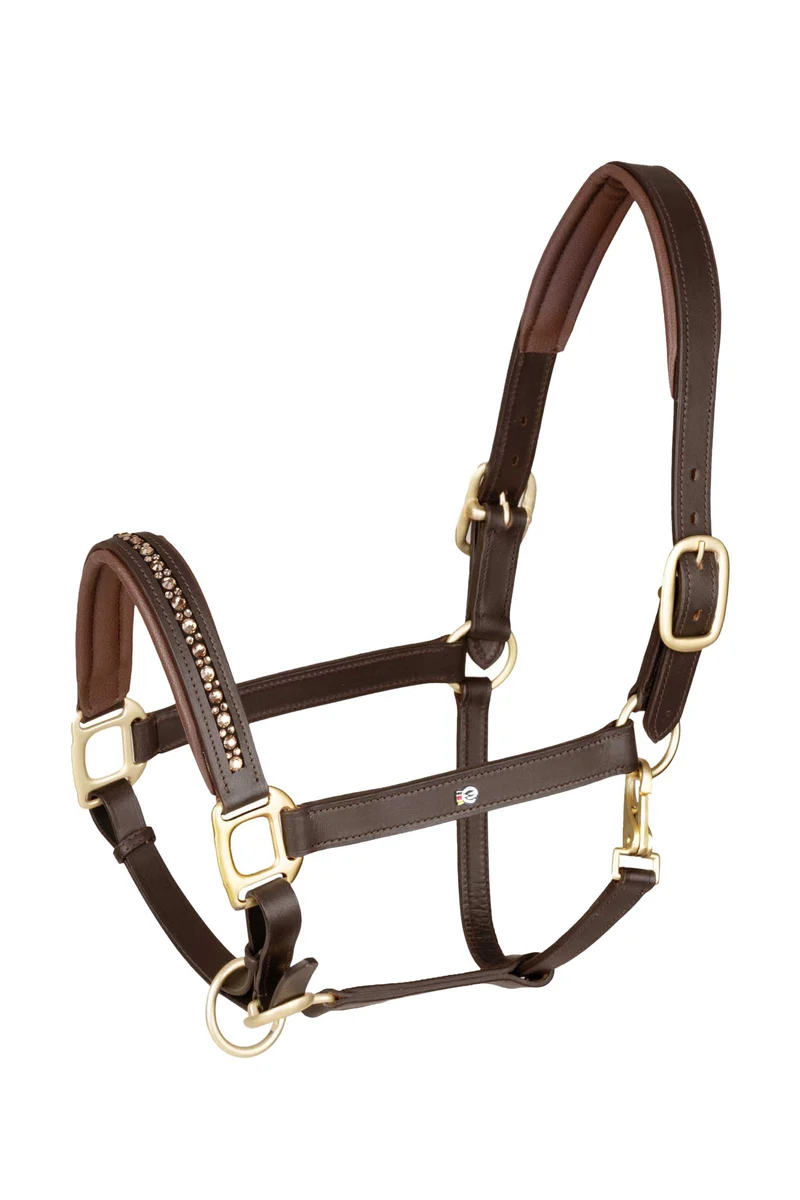 X-Line Crystal Licol en cuir Brown/Gold P