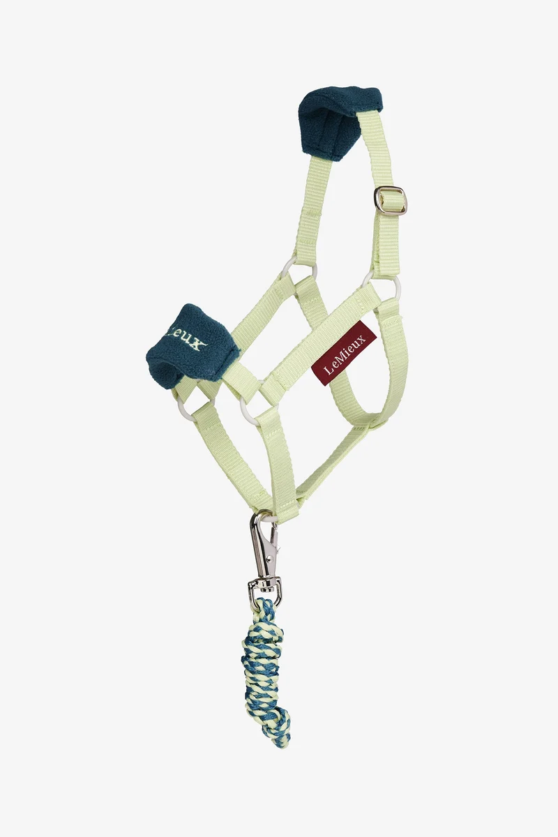 Hobby Horse Vogue licol et longe Macaron Taille unique