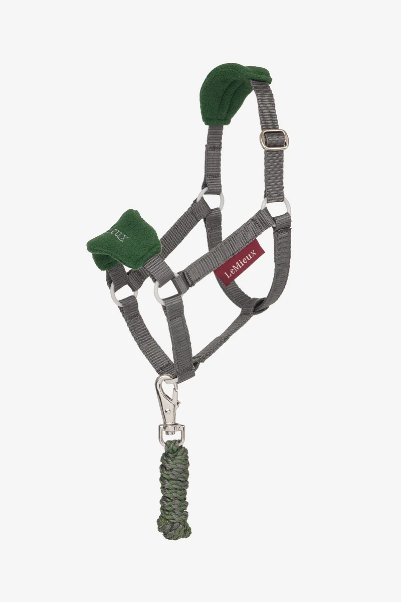 Hobby Horse Vogue licol et longe Hunter Green Taille unique