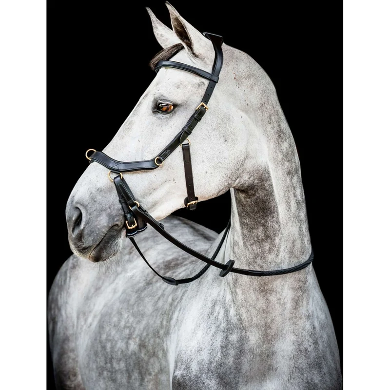 Horseware Micklem Multi Bridle Nouveau Noir