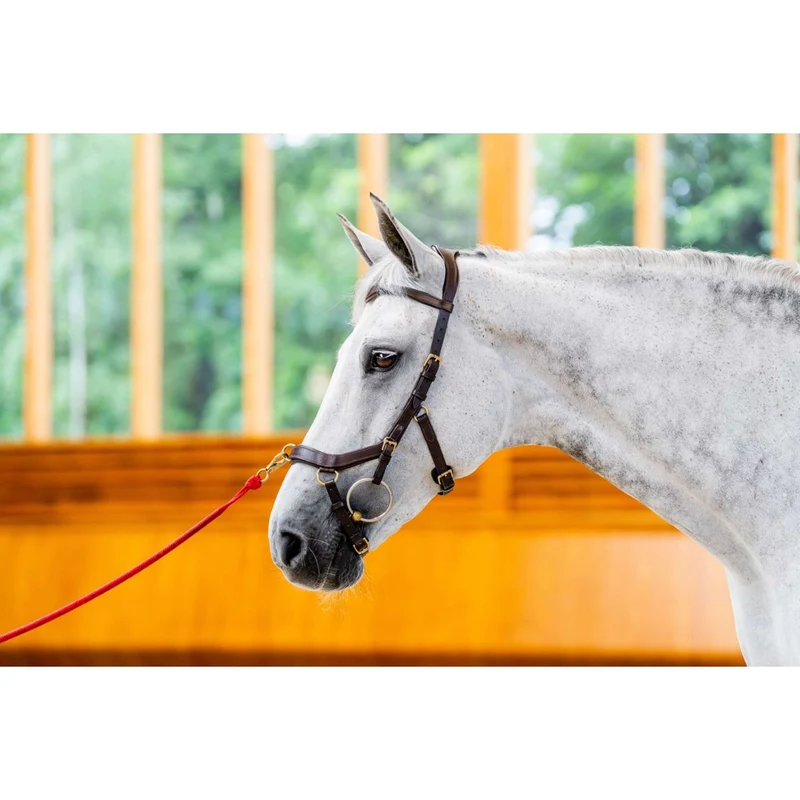 Horseware Micklem Multi Bridle Nouveau Dark Havana