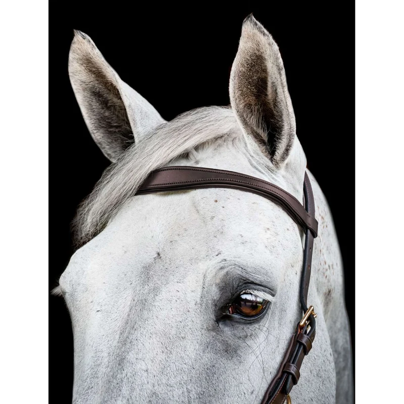 Horseware Micklem Multi Bridle Nouveau Dark Havana