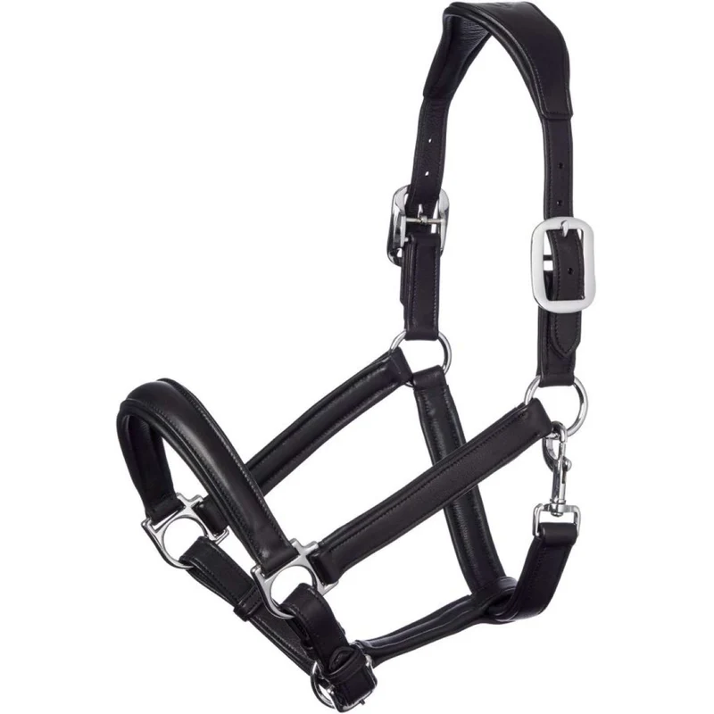 LeMieux Licol Cuir Anatomique Noir