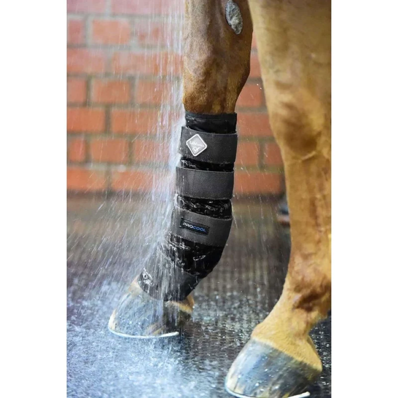 LeMieux Boots Cold Water Noir