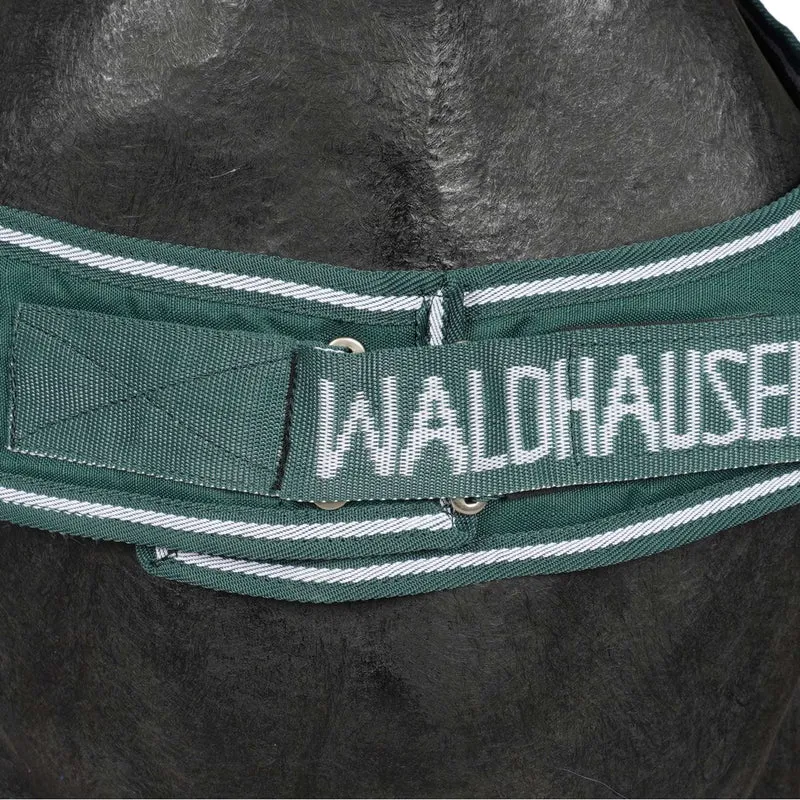 Waldhausen Chemise de Marcheur 100g Fir Green