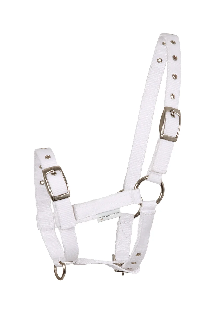 Triple Licol pour Poulain White Poulain