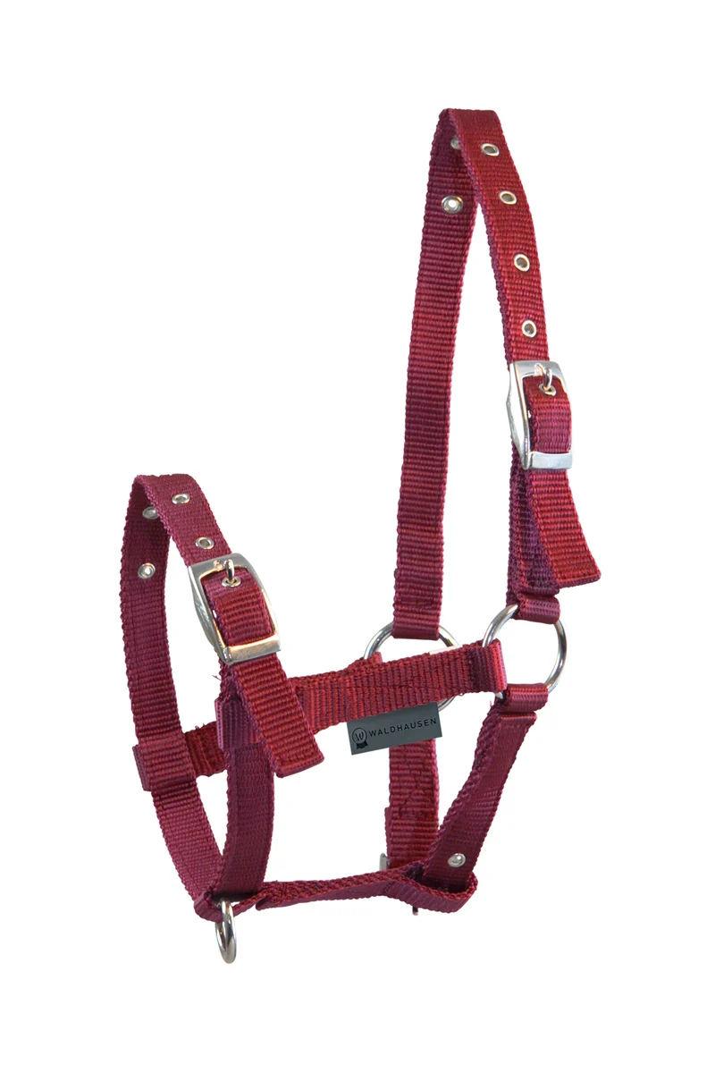Triple Licol pour Poulain Bordeaux Poulain