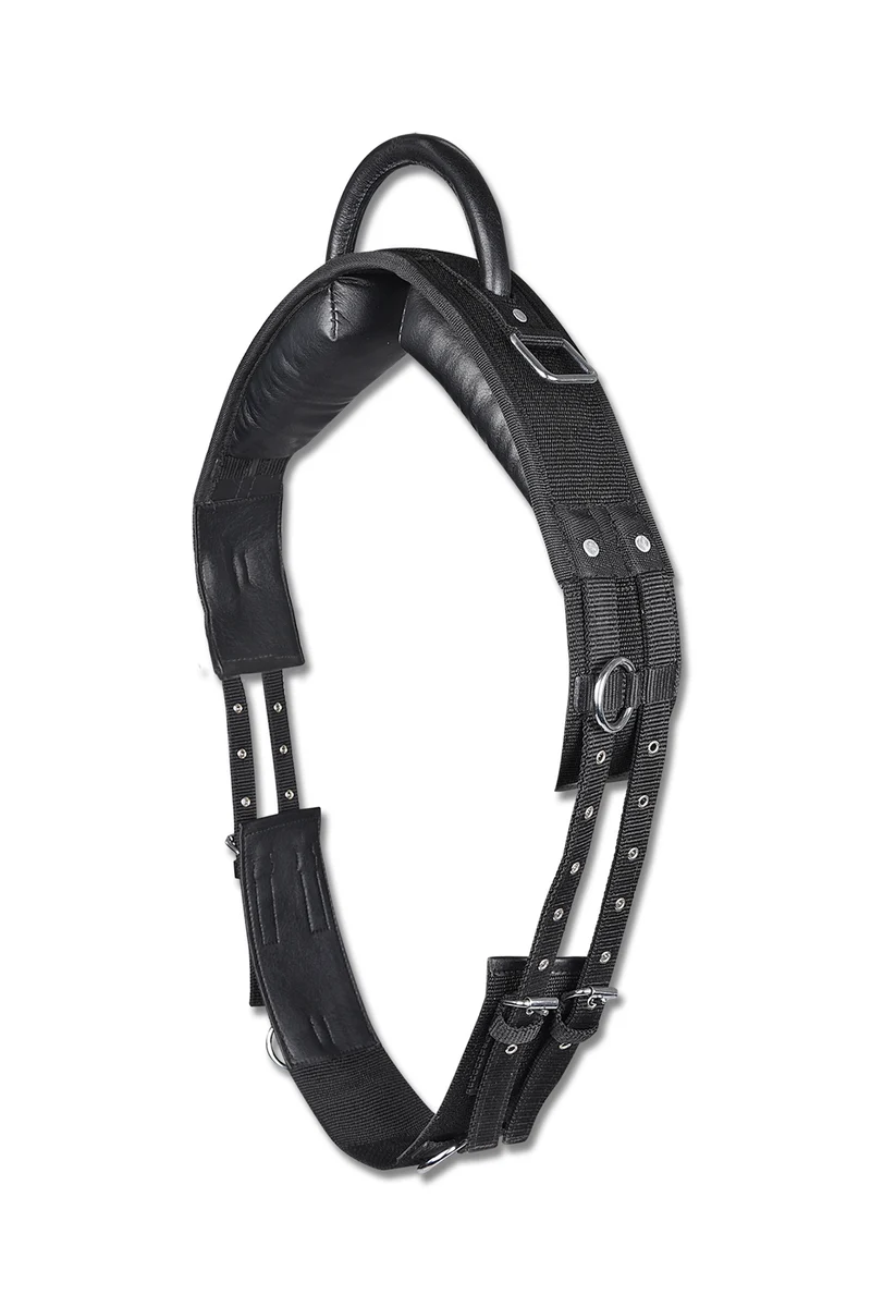 Surfaix de Voltige Black F