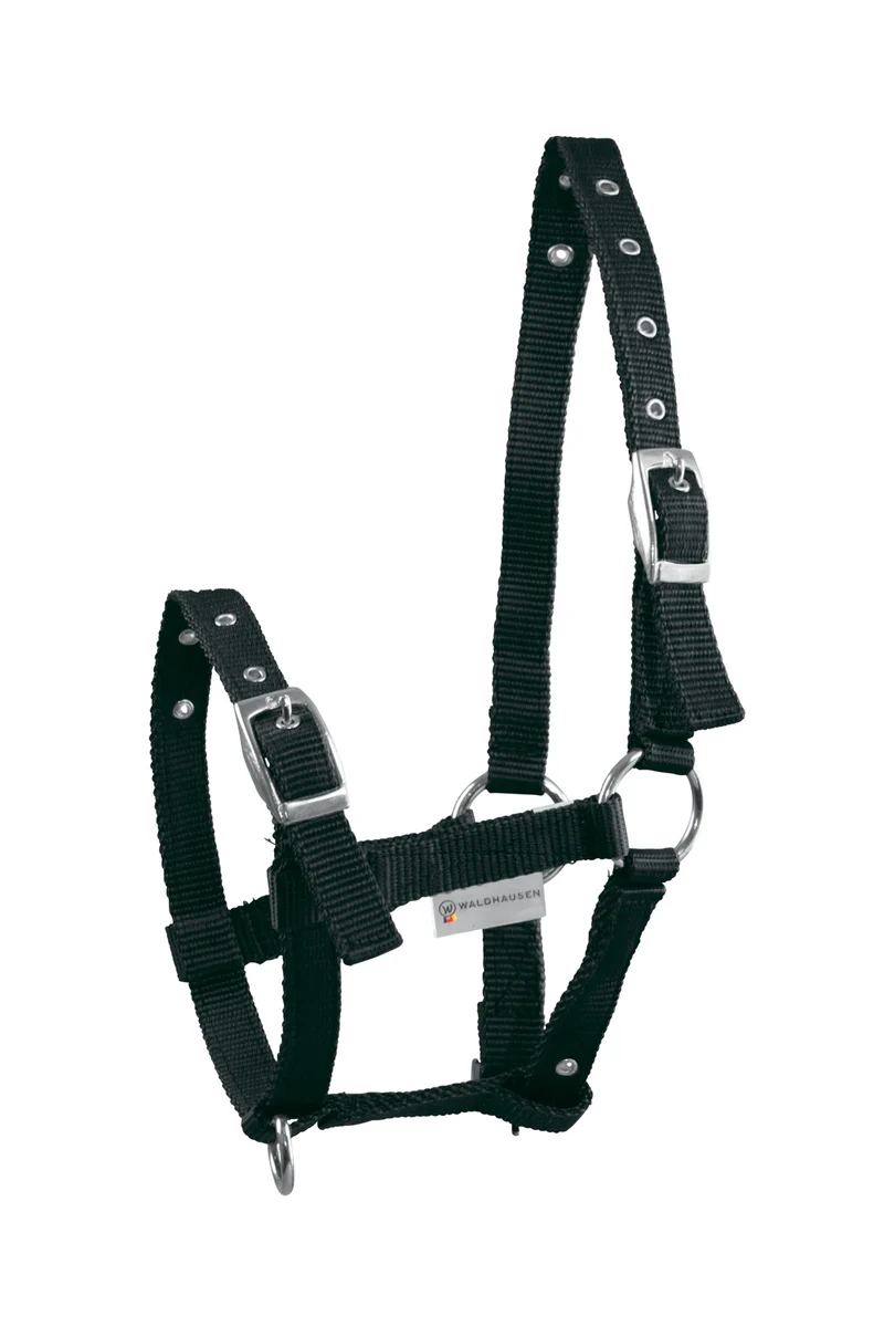 Triple Licol pour Poulain Black Poulain
