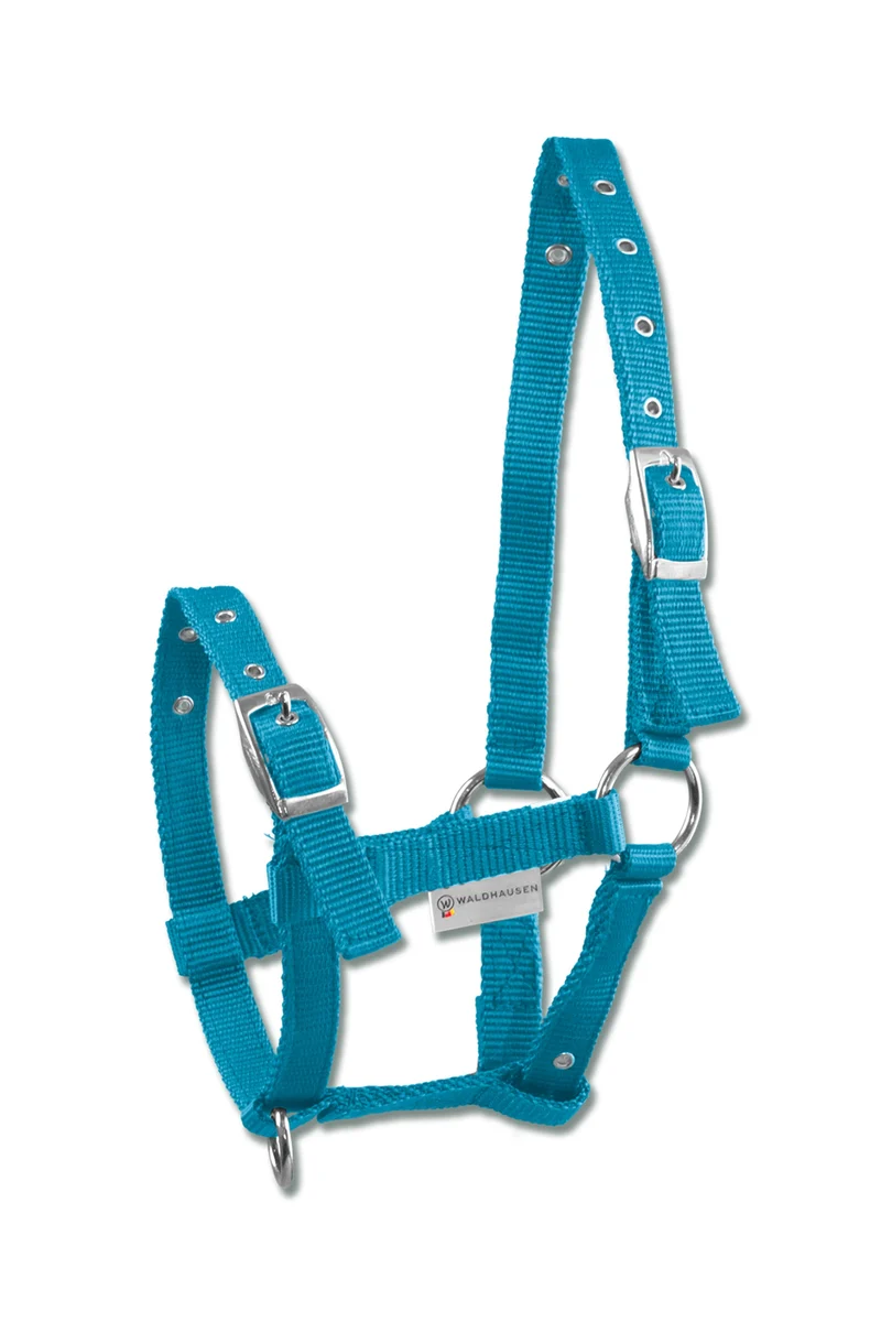 Triple Licol pour Poulain Azure Blue Poulain
