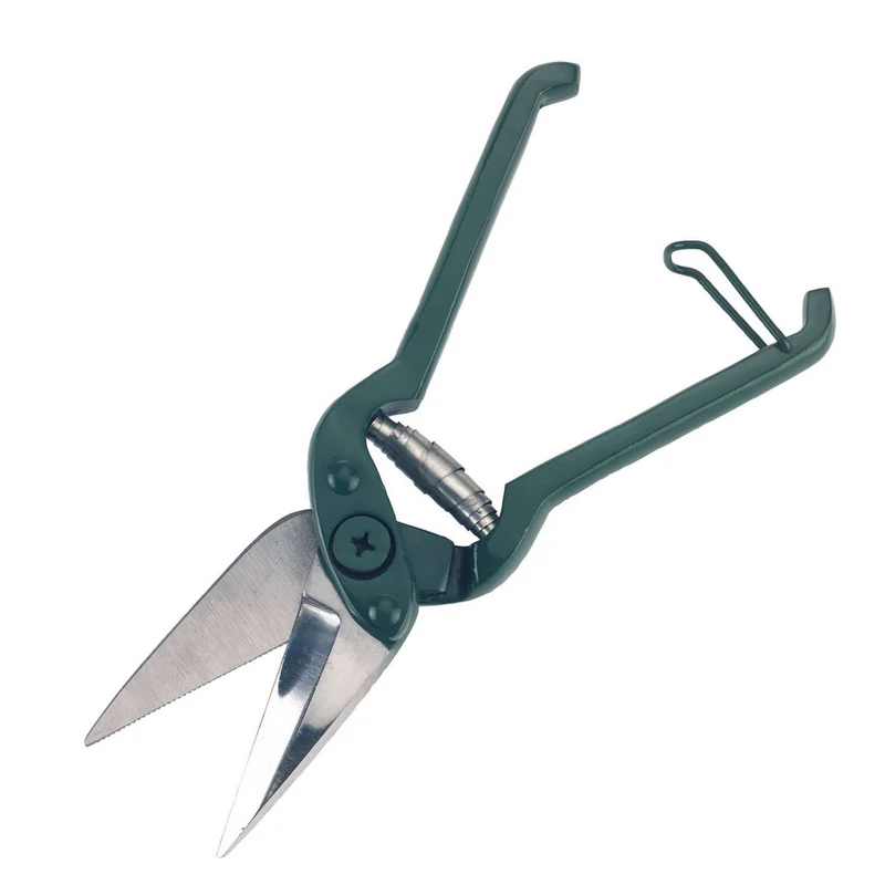 Kerbl Cisaille à Onglons Denté Vert