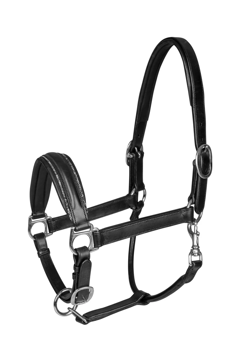 Glamour S-Line Licol Black C