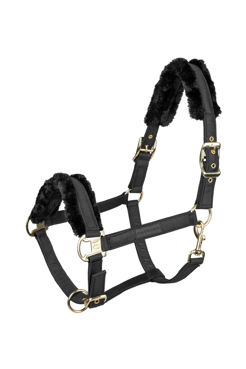 Exclusive Licol Black/Black C