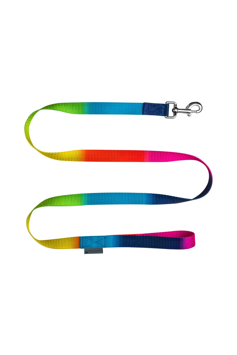 Rainbow Corde d'Attache Neon Multicolor 180