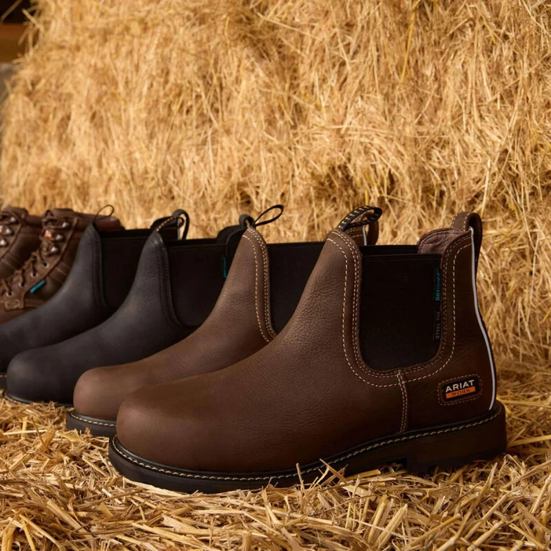 Ariat Jodhpurs Groundbreaker Chelsea Waterproof Steel Toe Hommes Marron