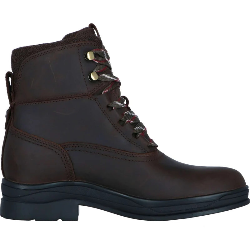 Ariat Chaussure d'Écurie Harper Waterproof Femme Chocolat/Willow