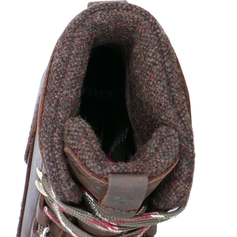 Ariat Chaussure d'Écurie Harper Waterproof Femme Chocolat/Willow