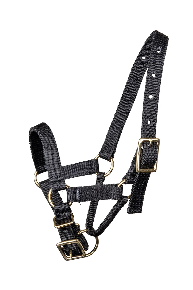 Alpaca Licol Black L